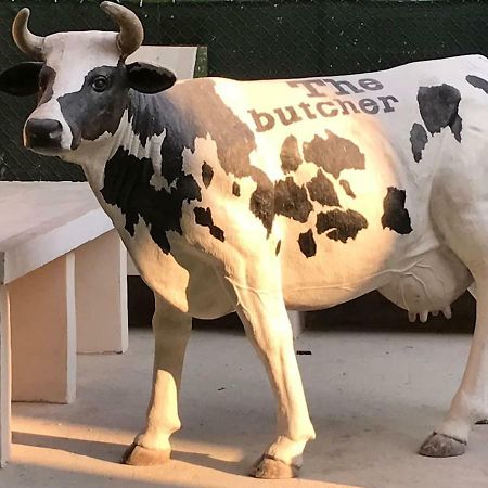 볼로냐 The Butcher-Ducati And Airport Blq 아파트 외부 사진